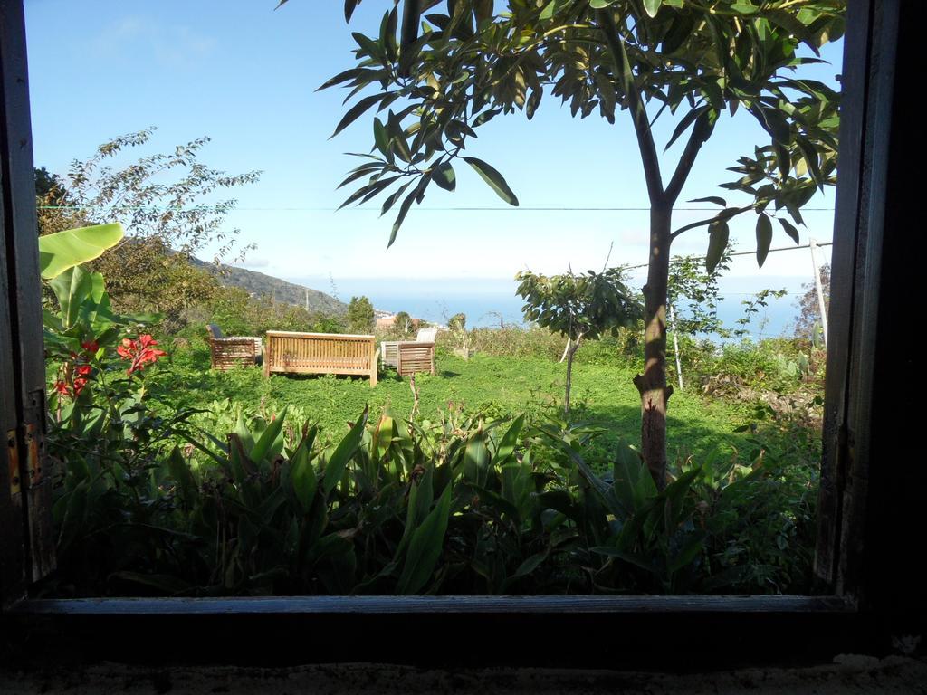 Finca Cueva Del Viento Icod De Los Vinos Phòng bức ảnh