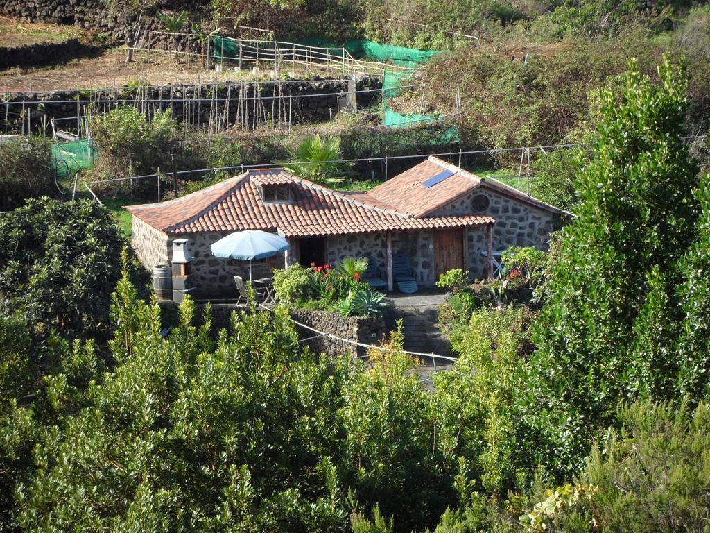 Finca Cueva Del Viento Icod De Los Vinos Phòng bức ảnh