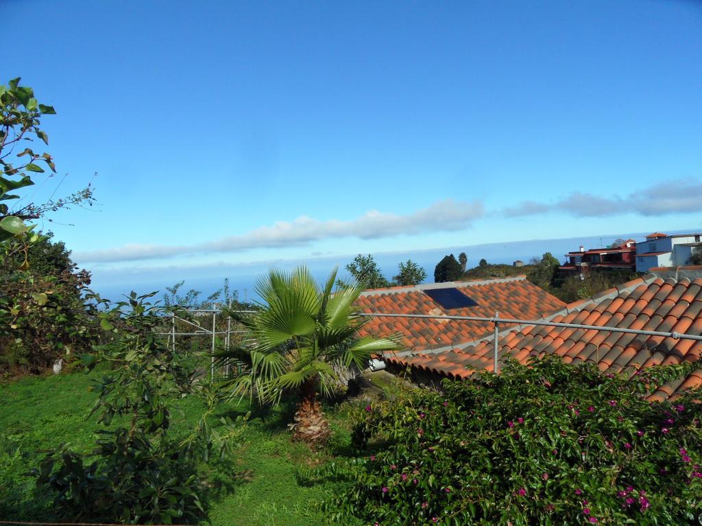 Finca Cueva Del Viento Icod De Los Vinos Phòng bức ảnh