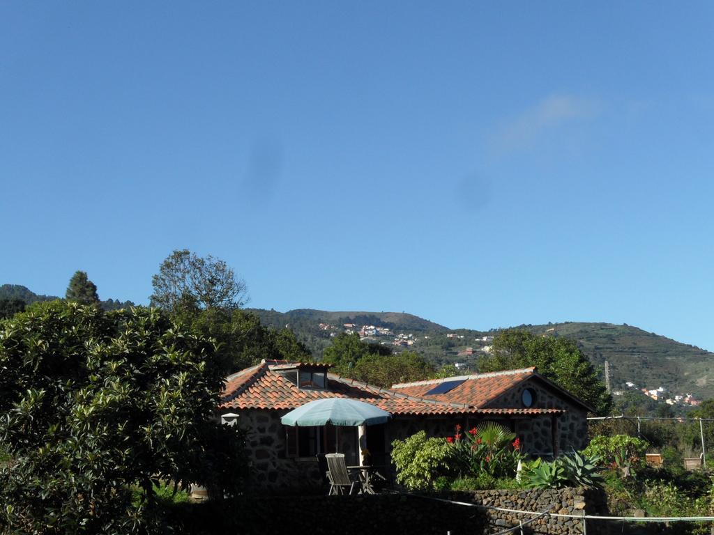 Finca Cueva Del Viento Icod De Los Vinos Phòng bức ảnh